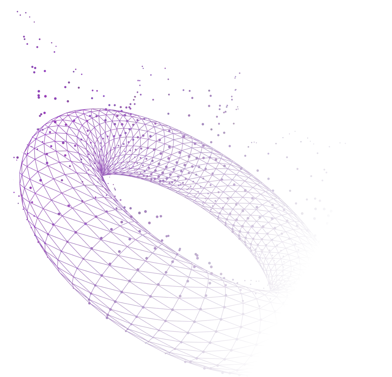 Torus left side